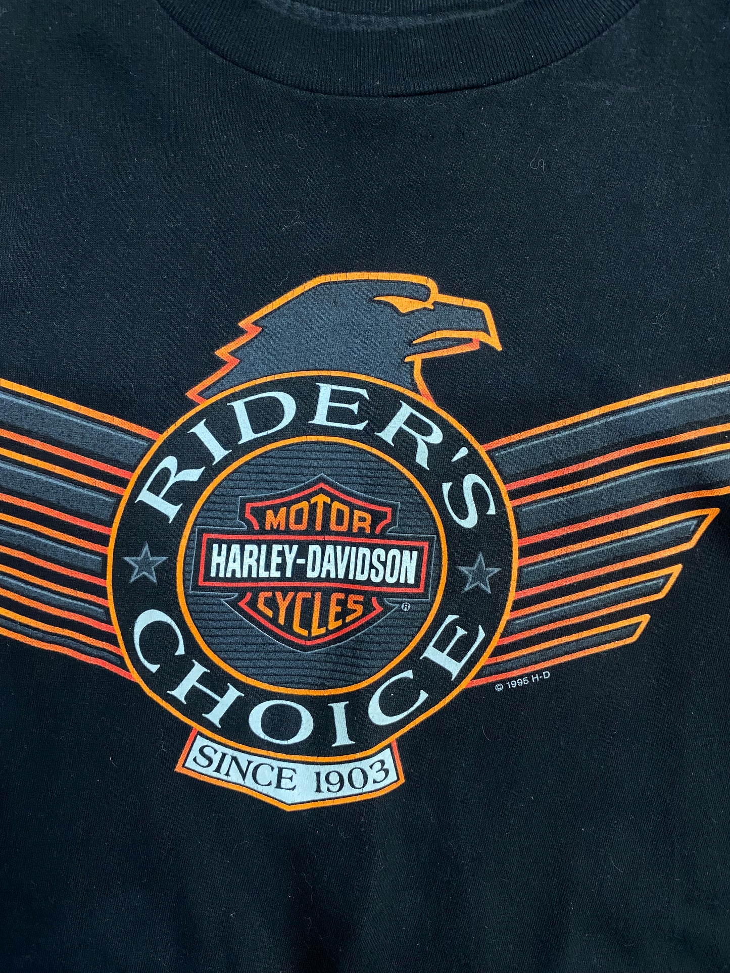 Vintage 1995 Riders Choice Tri County Harley Davidson T-shirt L