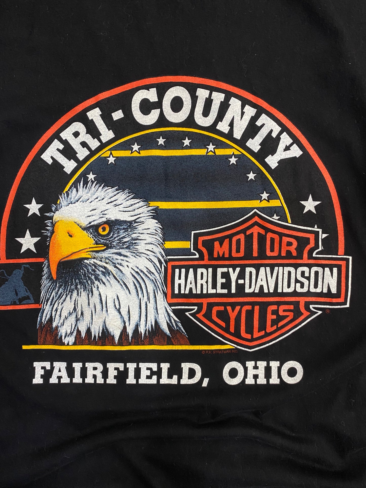 Vintage 1995 Riders Choice Tri County Harley Davidson T-shirt L